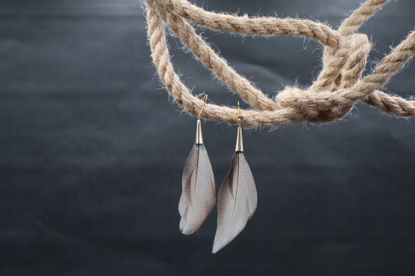 A pair of feather earrings with gold hooks and cones, hanging from thick rope